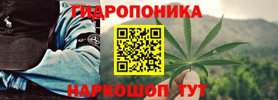 apvp Кингисепп