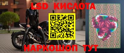 apvp Кингисепп