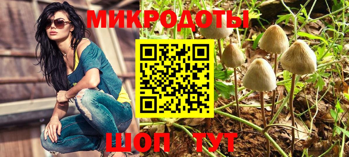 Георгиевск  Псилоцибиновые грибы Magic Shrooms  Псилоцибиновые грибы Psilocybe  Вход с VPN 